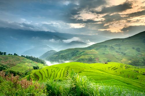 Free Amazing landscape of rice plantation on slopes of picturesque massive green mountains against cloudy sunset sky Stock Photo
