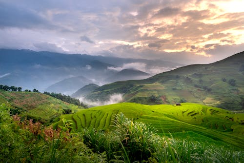 Breathtaking scenery of well groomed terraced rice plantation in mountainous countryside against picturesque cloudy sunset sky