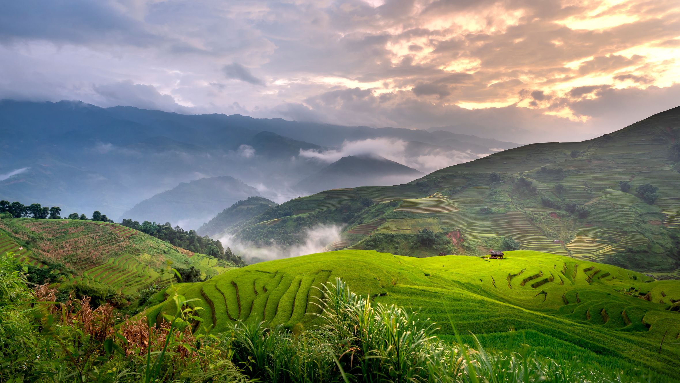 Breathtaking scenery of well groomed terraced rice plantation in mountainous countryside against picturesque cloudy sunset sky