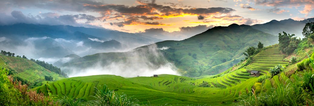 Stunning terraced rice fields under a morning mist and sunrise.
