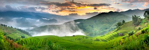 Free Spectacular view of green rice fields growing on mountains near plants and white mist under cloudy sky at sunrise Stock Photo
