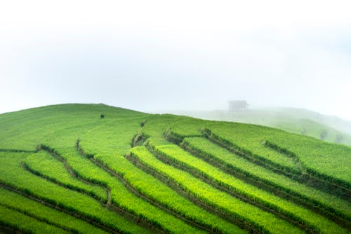 Immagine gratuita di agricoltura, altopiano, campagna