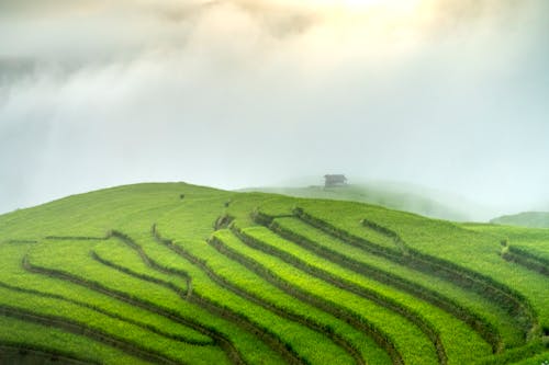 Immagine gratuita di agricoltura, altopiano, campagna