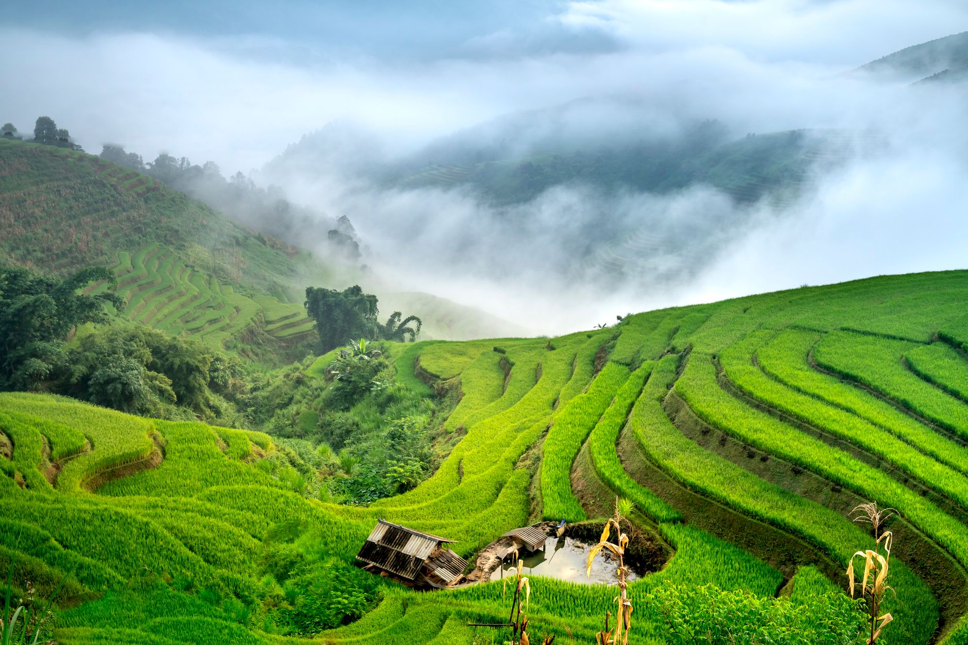 Green rice fields on mountains surrounded with white mist near small building with water reservoir under cloudy sky in daytime