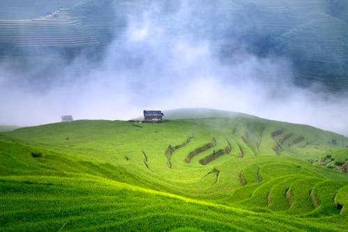 Immagine gratuita di agricoltura, altopiano, campagna