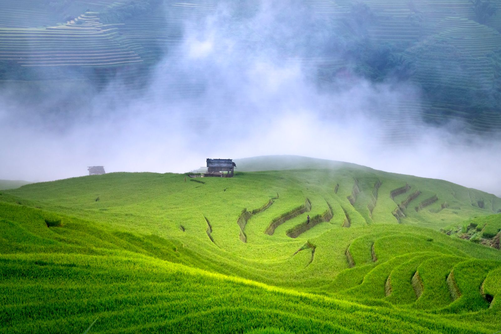 Green hill in the mist paint by numbers
