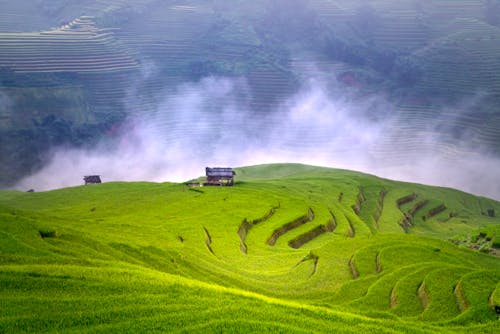 Immagine gratuita di agricoltura, altopiano, campagna