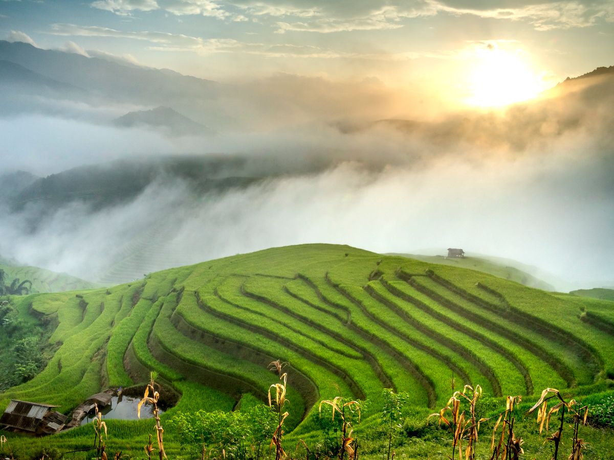 4 Days 3 nights Yoga & Ayurveda Retreat to Detox the Body & Mind 2