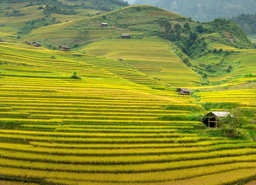 Picturesque scenery of green hills with wooden houses placed among rice plantations located in countryside in daytime