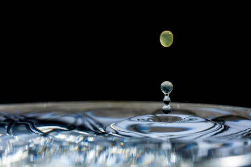 Macro Photography of Water Drop 