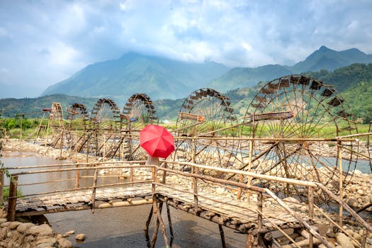 Photo by Quang Nguyen Vinh