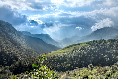 Spectacular view of high mountains with lush green trees growing under shiny sky with fluffy clouds in sunlight