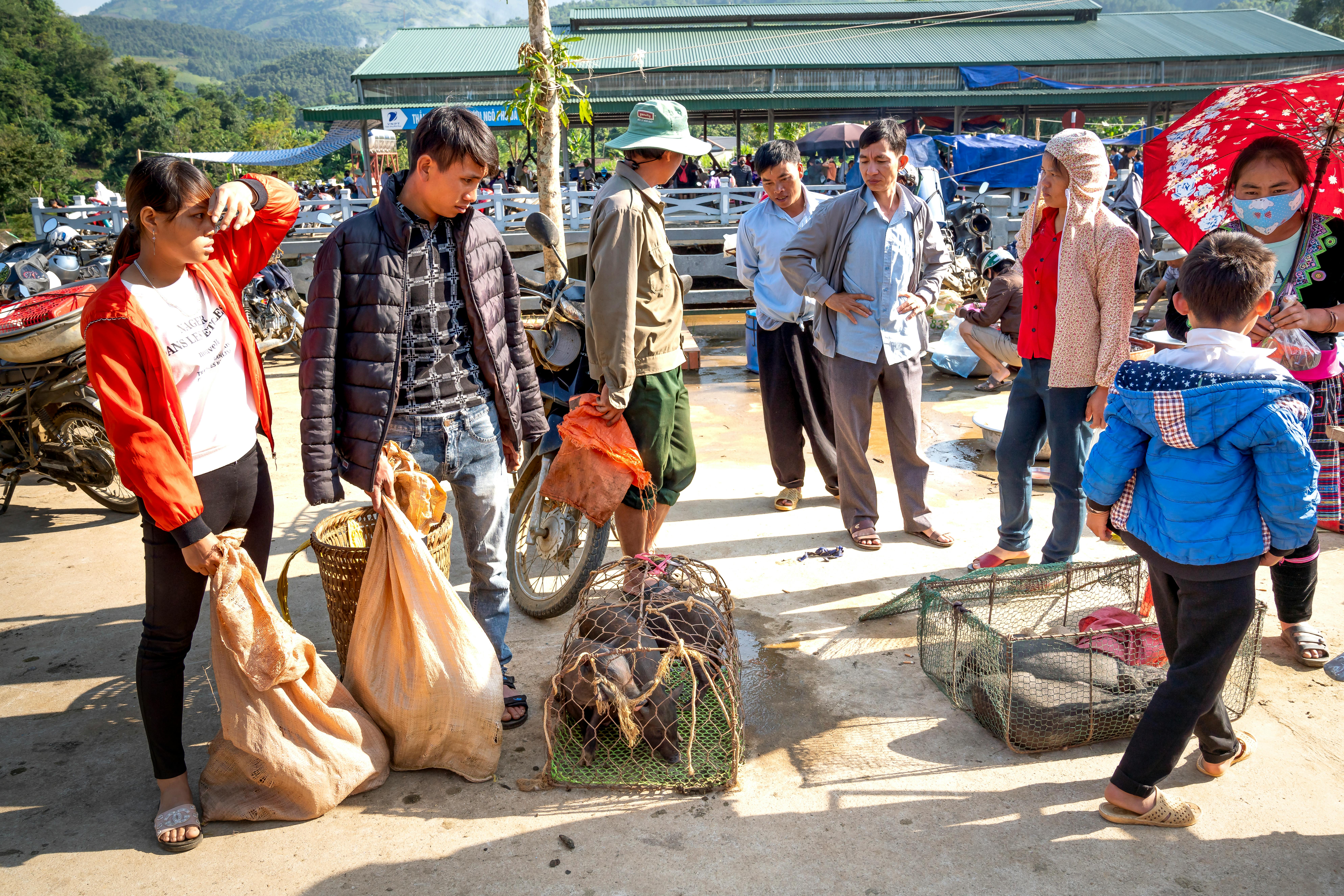 ethnic vendors with pigs against buyers in bazaar