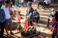 Crop anonymous Asian vendors and shoppers on staircase against little pigs in cages in urban bazaar on sunny day