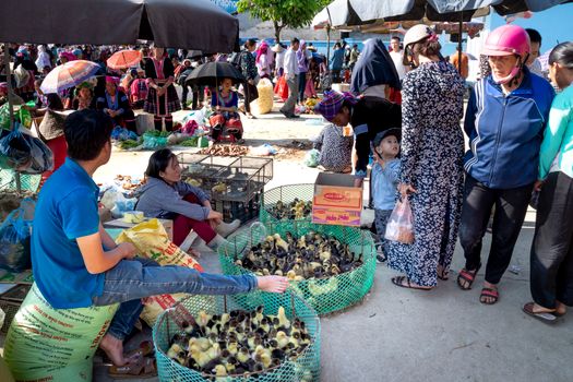 Unrecognizable Asian vendors with chicks against shoppers in local market