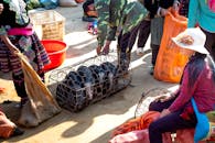 Unrecognizable ethnic sellers with little pigs in cage in bazaar