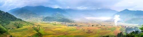 Panoramic view of rice fields with furrows against ridges under cloudy sky in misty weather