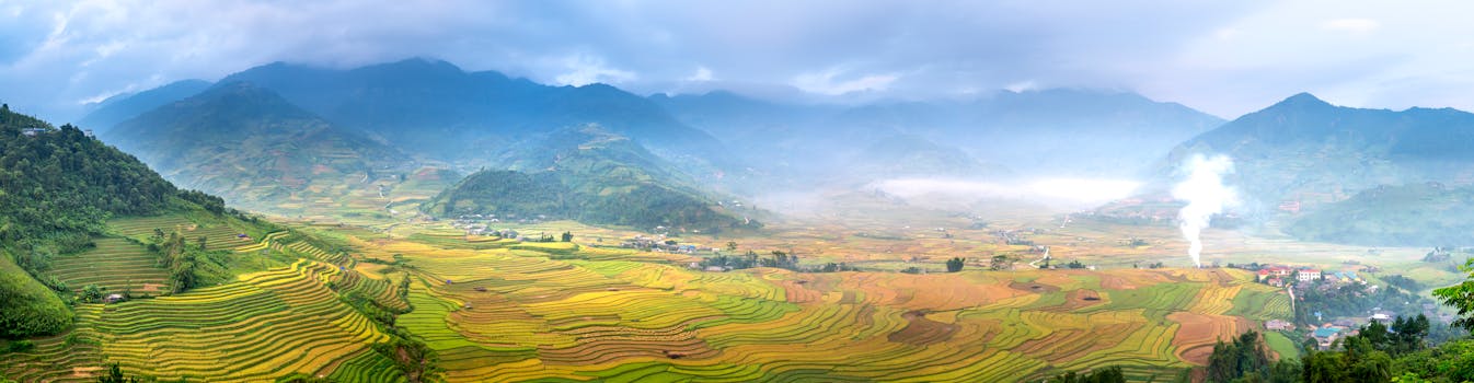 Panoramic view of rice fields with furrows against ridges under cloudy sky in misty weather
