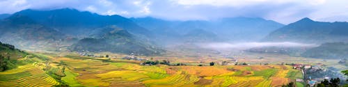 Rice plantations against high mountains in fog