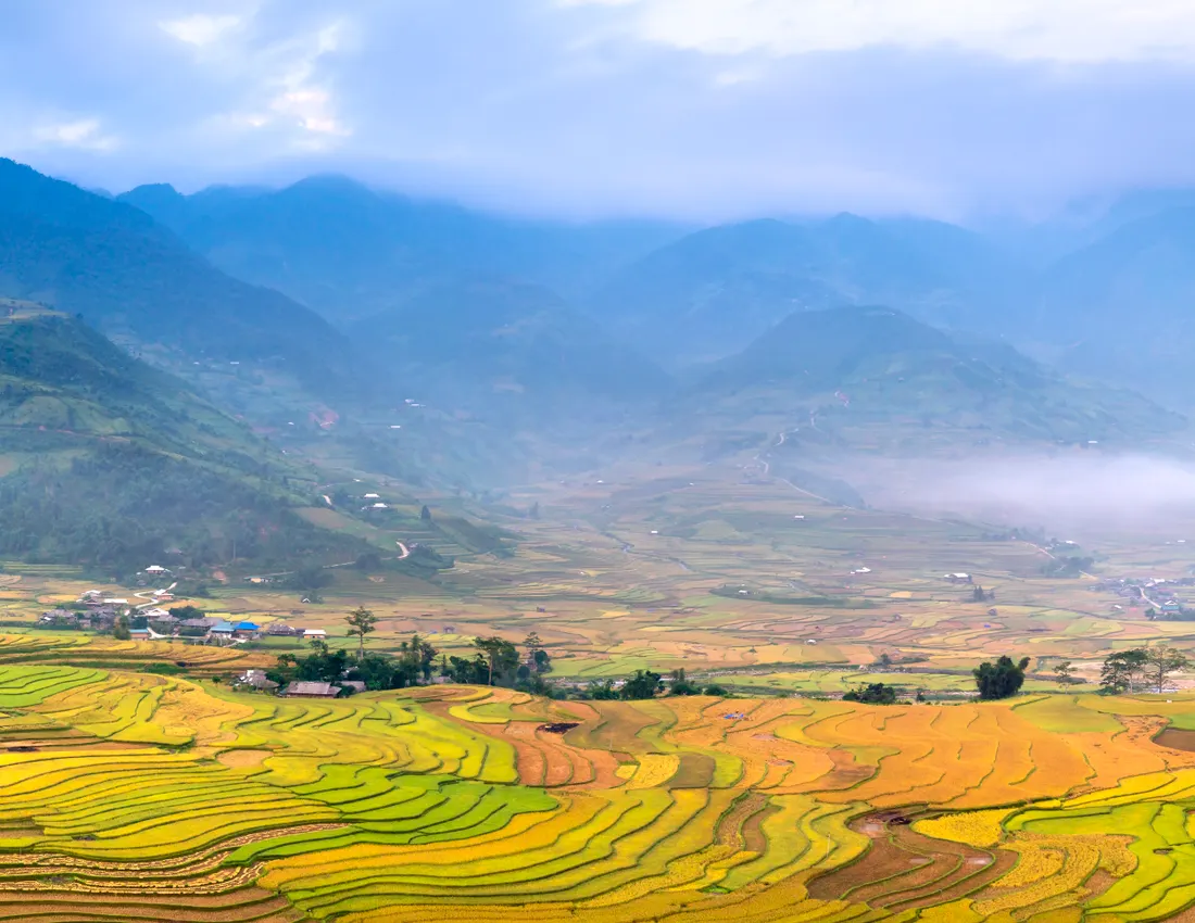 Vietnam