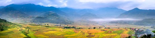 Rice plantations against high mountains in fog