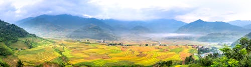 Panoramic view of rice plantations with furrows against magnificent ridges with trees under cloudy sky on foggy day