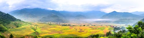 Free Panoramic view of rice plantations with furrows against magnificent ridges with trees under cloudy sky on foggy day Stock Photo