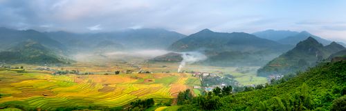 Free A breathtaking panorama of rice fields amidst lush, misty mountains, perfect for nature lovers. Stock Photo