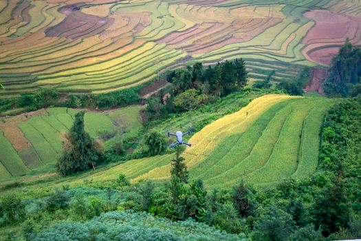Aerial view of lush green rice terraces, showcasing nature's beauty and agriculture. Captivsating landscape.