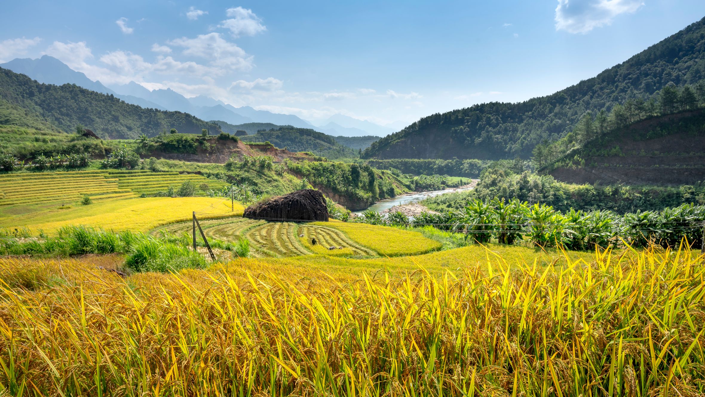 Beautiful rice terraces in a serene countryside landscape with mountains in the background under a clear blue sky.