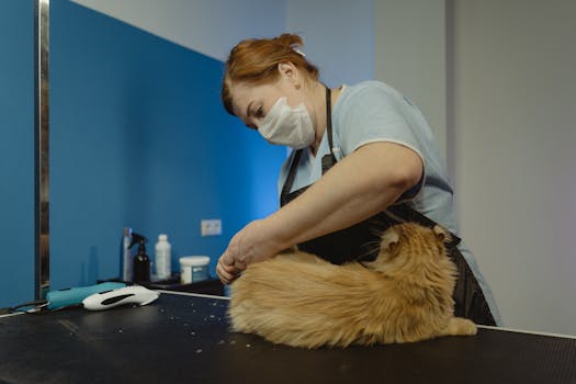A groomer trims a fluffy tabby cat in a professional pet salon.