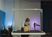 A professional groomer tending to a fluffy tabby cat indoors, showcasing a grooming setup.