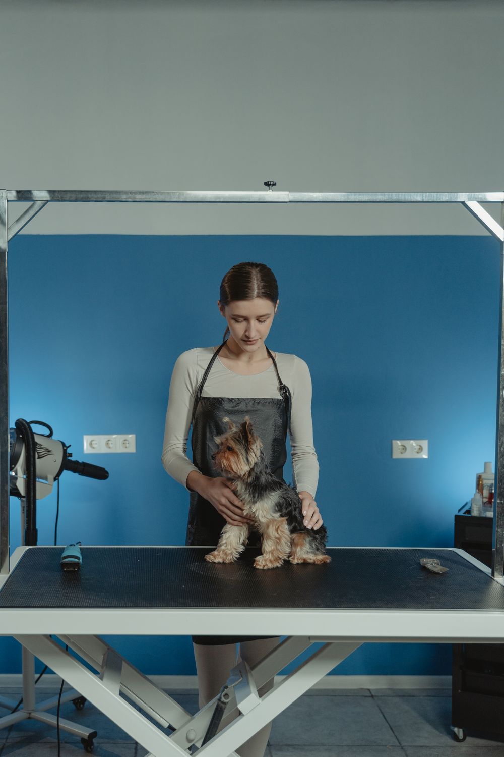 A pet groomer at work with a small dog