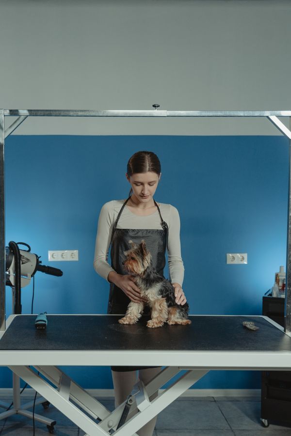 De-shedding Treatment