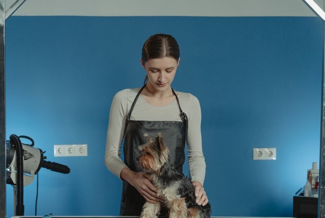 Pet groomers