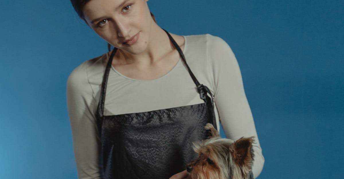 Woman in Black Apron Holding Paw of Black and Brown Long Coated Small Dog Sitting on Black Table
