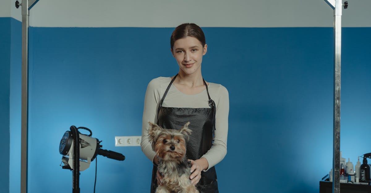 Professional Groomer and a Yorkshire Terrier