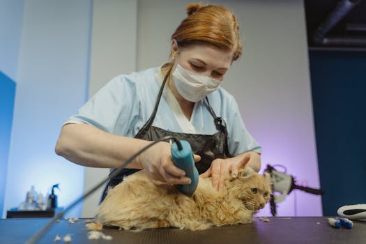 Woman gently grooms a fluffy cat indoors using a shaver, displaying care and concentration.