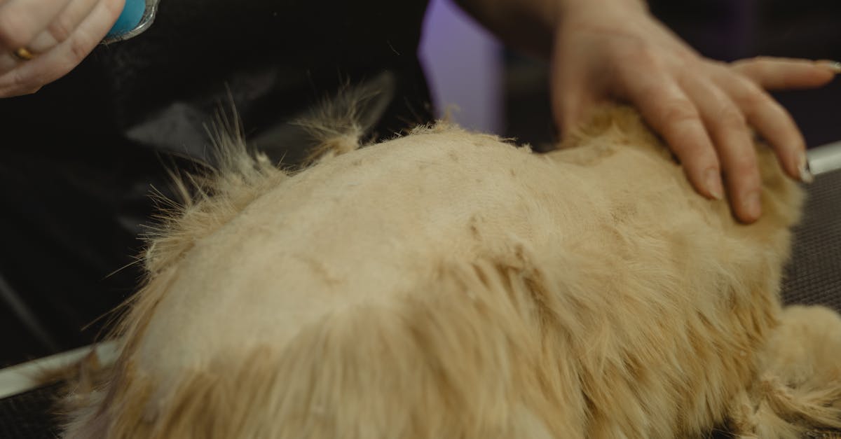 徠芬 Laifen P3 Pro 電動刮鬍刀開箱,提升生活美學新體驗