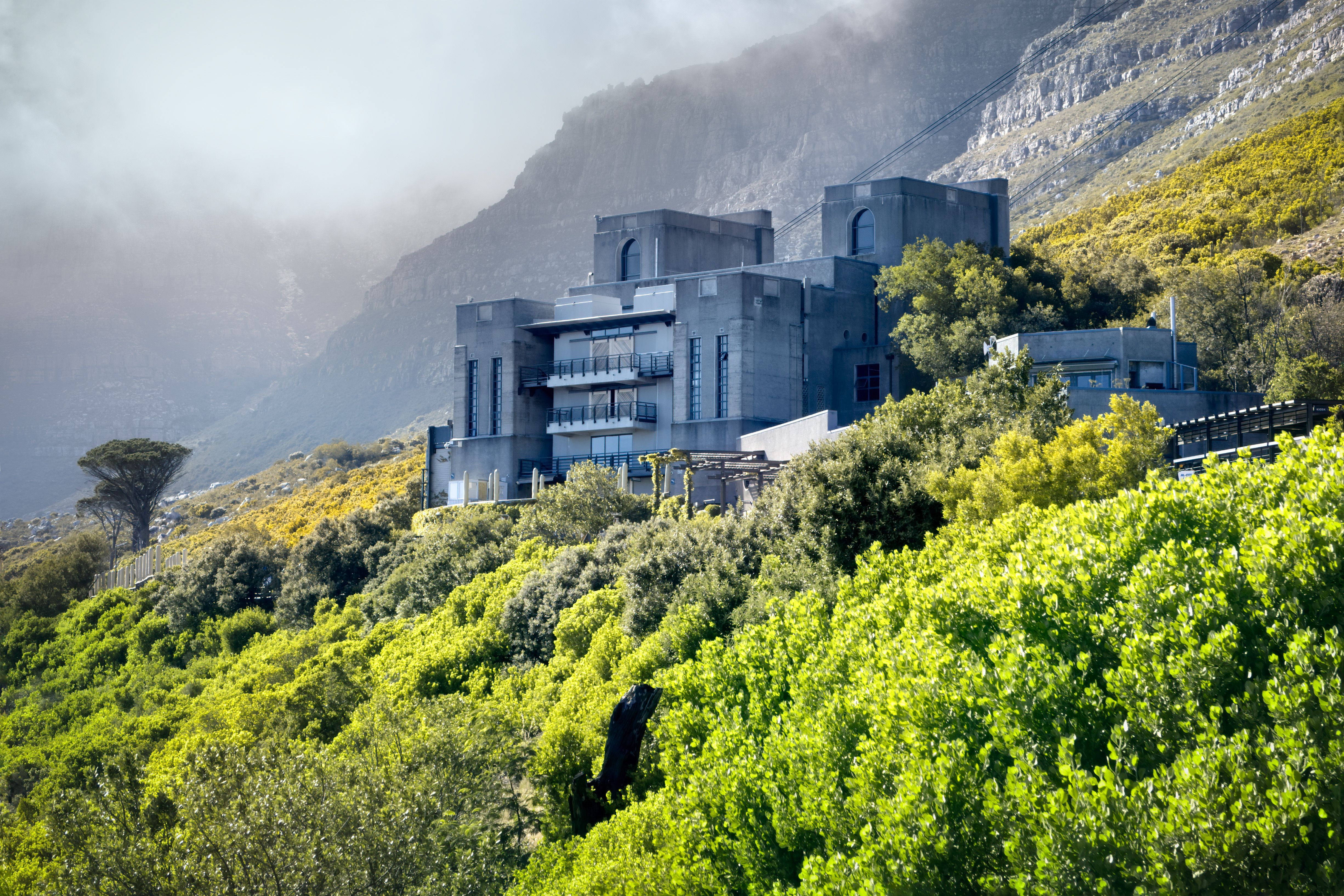 Constantia immobilier luxe 2026 : le marché résiste ?