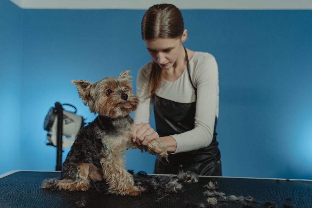 Nail Trim