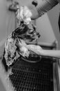 Grayscale Photography of Person Shampooing Dog
