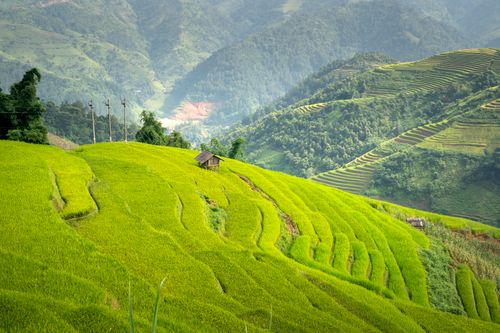 Free Stunning view of vibrant rice terraces on a mountainous landscape with a wooden structure in rural setting. Stock Photo