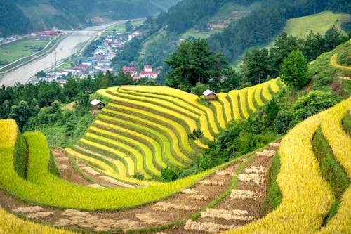 山丘, 景觀, 村莊 的 免費圖庫相片