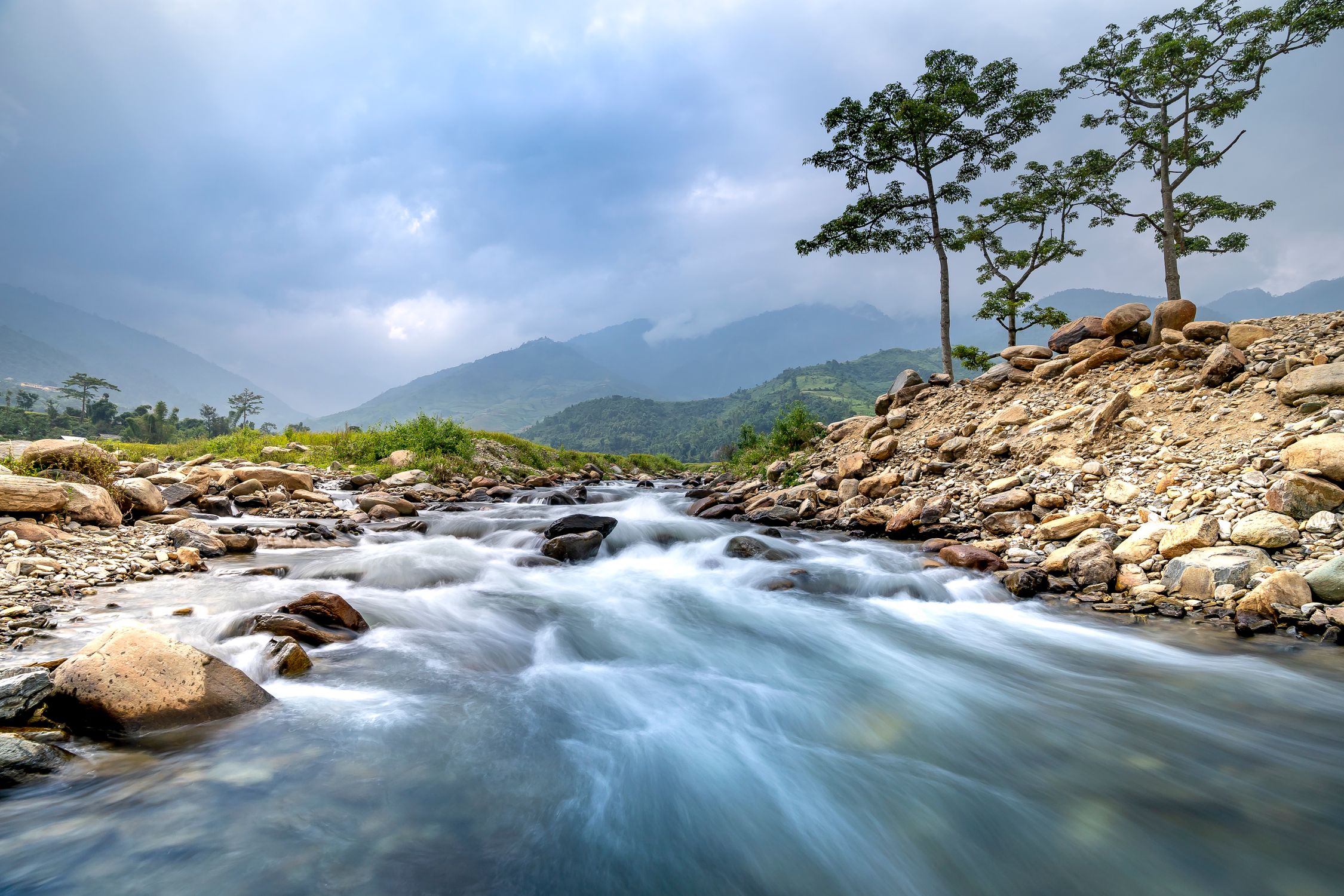 Field One Tree River And Rocks Trees on Rocks around a River · Free Stock Photo