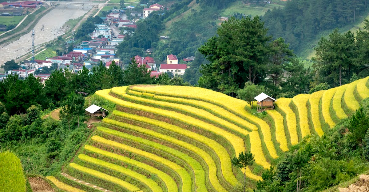 六堆客庄田間樂:駐村小隊體驗農村生活的樂趣