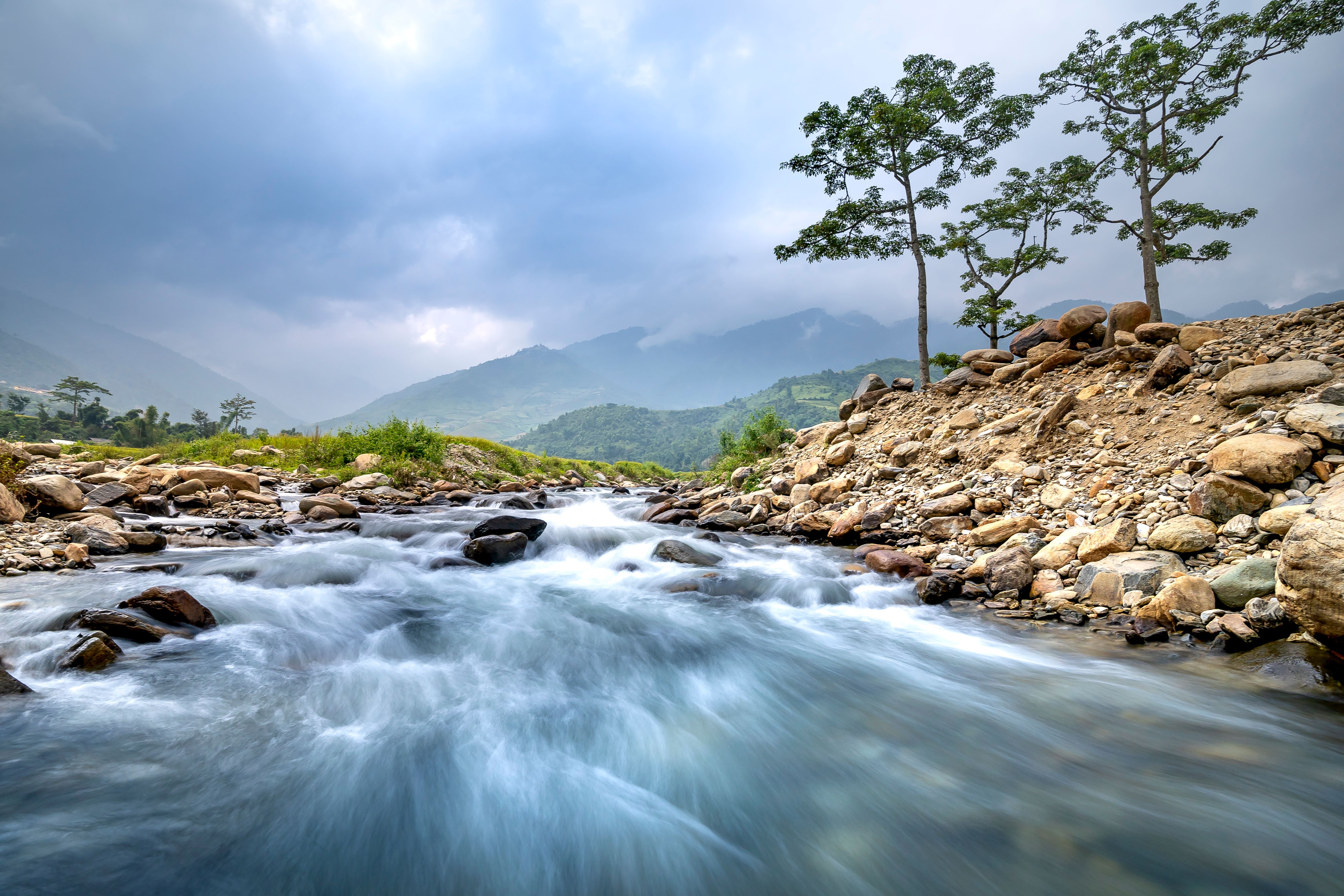 View of a Stream · Free Stock Photo