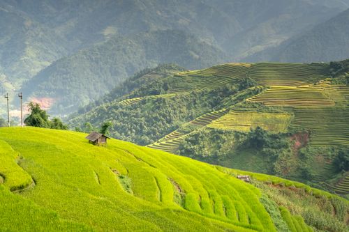 Free Scenic view of verdant terraced rice fields in mountainous landscape under a clear sky. Stock Photo