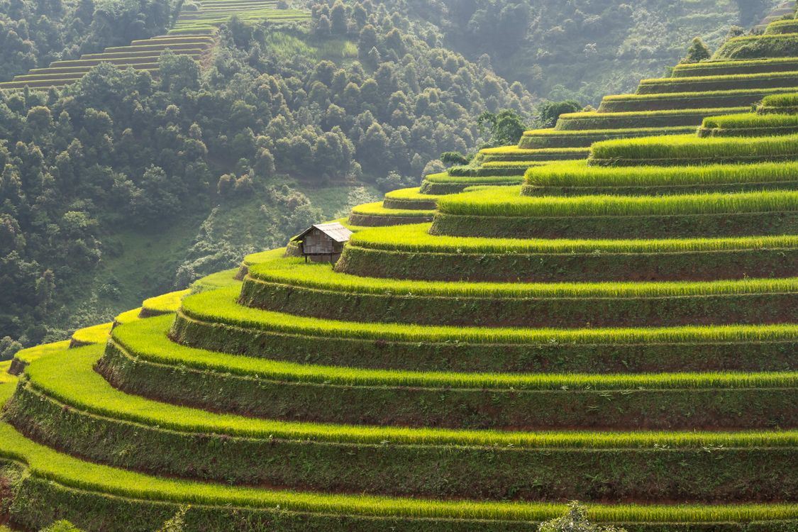 Beautiful Rice Ranches A Wooden House on the Rice Farm on the Mountains · Free Stock Photo