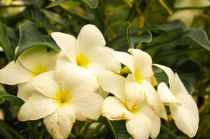 Bassin piscicole moderne